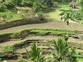 2007 07 17 BALI 0037